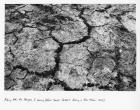 Aching with the Fatigue of Living (After Derek Jarman’s ‘Smiling in Slow Motion’, 2000), 2012 